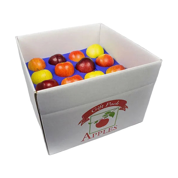 Medium-sized box with apples surrounded by blue foam on a white background.