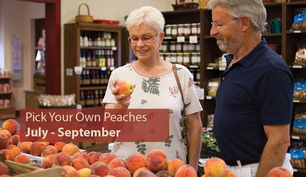 Pick Your Own Peaches July thru September
